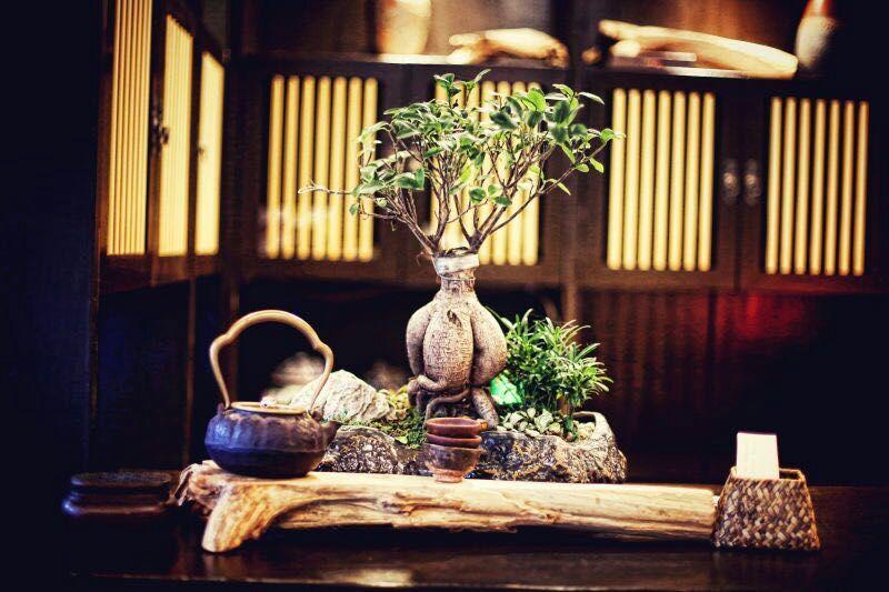 Ningbo Zhengfang Inn Eksteriør billede